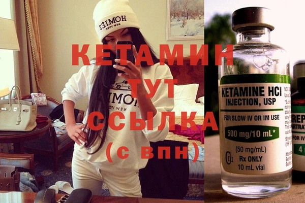прущие грибы Кулебаки