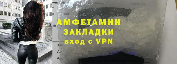 прущие грибы Кулебаки
