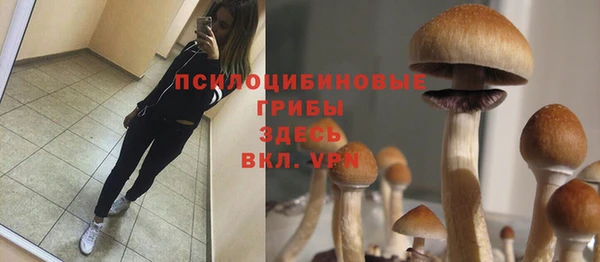 спайс Куйбышев