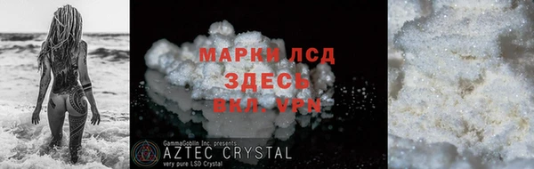 прущие грибы Кулебаки