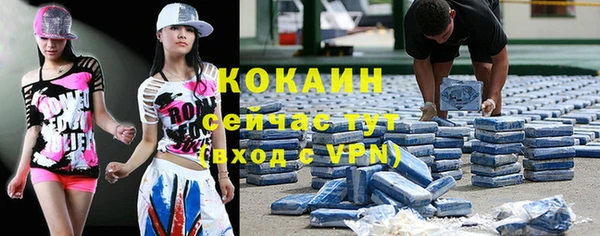 прущие грибы Кулебаки