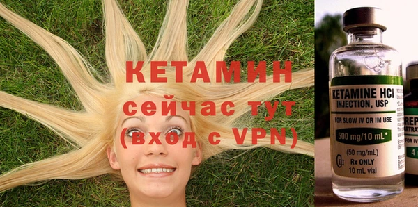 прущие грибы Кулебаки
