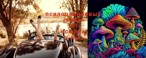 прущие грибы Кулебаки