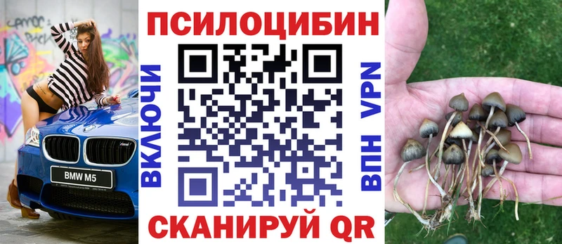 Галлюциногенные грибы Cubensis  Суровикино 