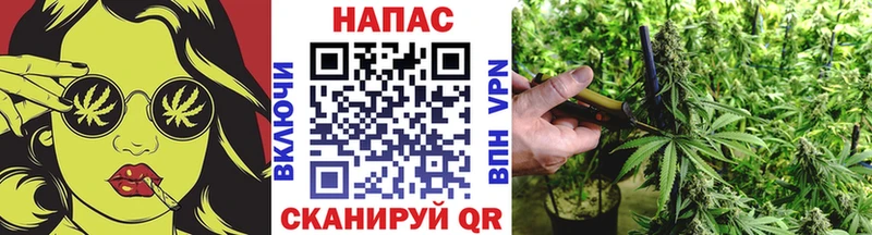 Марихуана ГИДРОПОН  Суровикино 